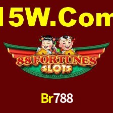 VIP Casino Br788