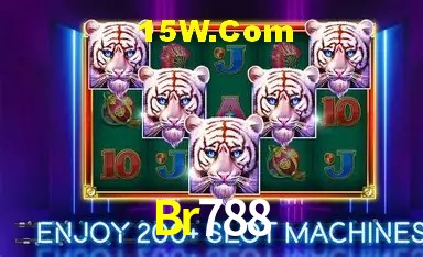 Recursos de Bônus Br788